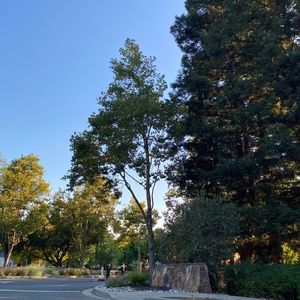 Meet your Posher, Bianca